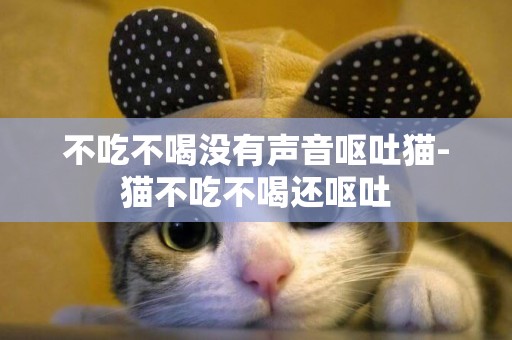 不吃不喝没有声音呕吐猫-猫不吃不喝还呕吐