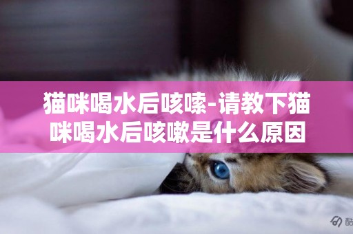 猫咪喝水后咳嗦-请教下猫咪喝水后咳嗽是什么原因