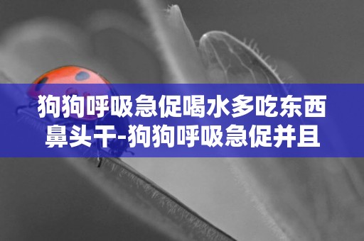 狗狗呼吸急促喝水多吃东西鼻头干-狗狗呼吸急促并且鼻头干也有点咳嗽怎么回事 求高手解答