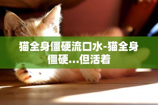 猫全身僵硬流口水-猫全身僵硬…但活着