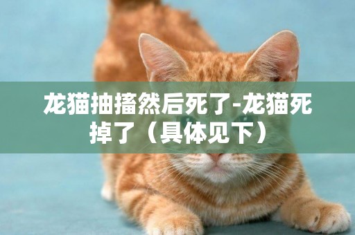 龙猫抽搐然后死了-龙猫死掉了（具体见下）