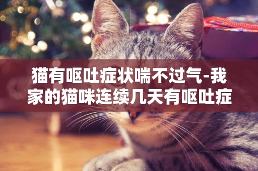 猫有呕吐症状喘不过气-我家的猫咪连续几天有呕吐症状，是什么原因