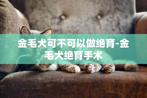 金毛犬可不可以做绝育-金毛犬绝育手术