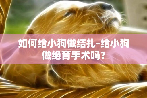 如何给小狗做结扎-给小狗做绝育手术吗？