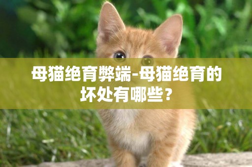 母猫绝育弊端-母猫绝育的坏处有哪些？