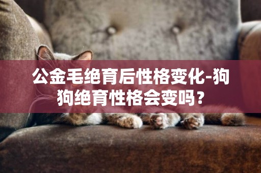 公金毛绝育后性格变化-狗狗绝育性格会变吗？