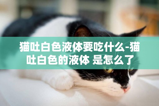 猫吐白色液体要吃什么-猫吐白色的液体 是怎么了