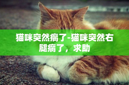 猫咪突然瘸了-猫咪突然右腿瘸了，求助