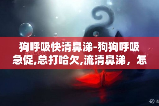 狗呼吸快清鼻涕-狗狗呼吸急促,总打哈欠,流清鼻涕，怎么回事