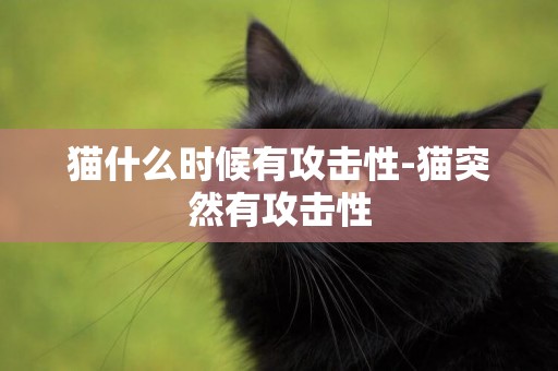 猫什么时候有攻击性-猫突然有攻击性