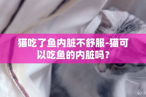 猫吃了鱼内脏不舒服-猫可以吃鱼的内脏吗？