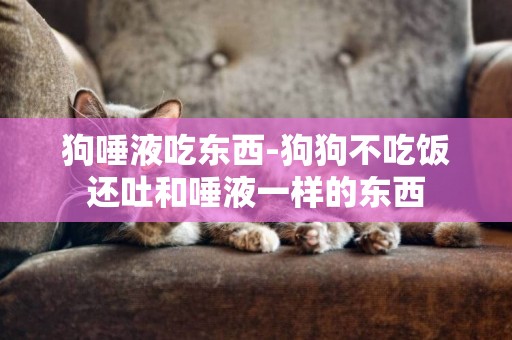 狗唾液吃东西-狗狗不吃饭还吐和唾液一样的东西