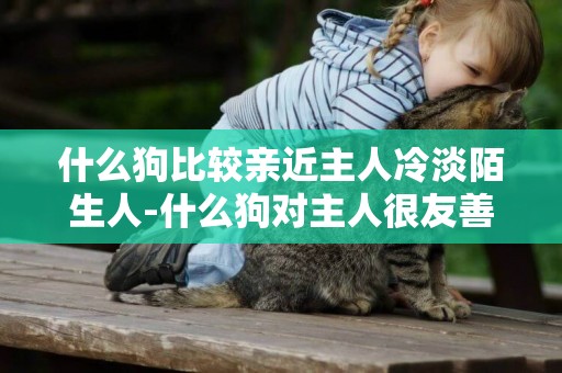 什么狗比较亲近主人冷淡陌生人-什么狗对主人很友善，但对陌生人很冷漠？不要说是藏獒和难看的狗