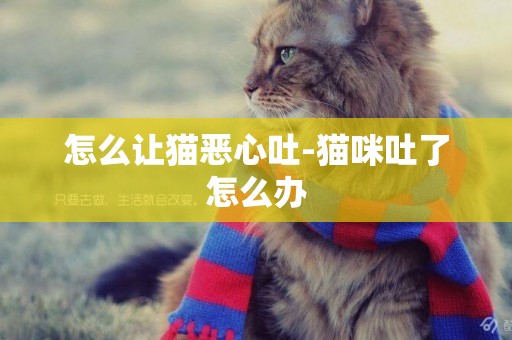 怎么让猫恶心吐-猫咪吐了怎么办