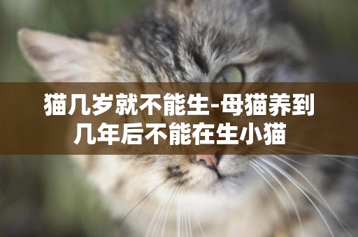 猫几岁就不能生-母猫养到几年后不能在生小猫