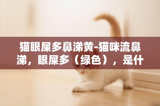 猫眼屎多鼻涕黄-猫咪流鼻涕，眼屎多（绿色），是什么症状？