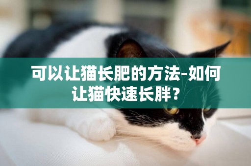 可以让猫长肥的方法-如何让猫快速长胖？