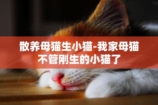 散养母猫生小猫-我家母猫不管刚生的小猫了