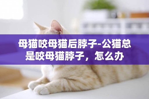 母猫咬母猫后脖子-公猫总是咬母猫脖子，怎么办