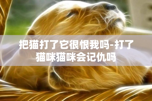 把猫打了它很恨我吗-打了猫咪猫咪会记仇吗