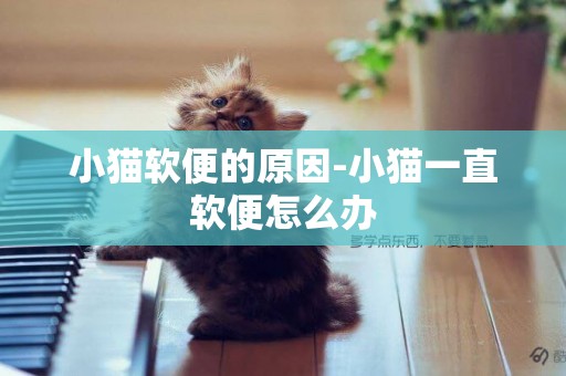 小猫软便的原因-小猫一直软便怎么办