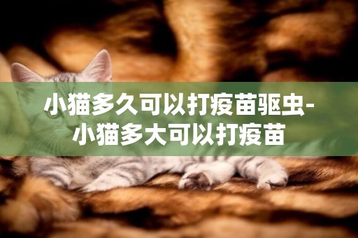 小猫多久可以打疫苗驱虫-小猫多大可以打疫苗