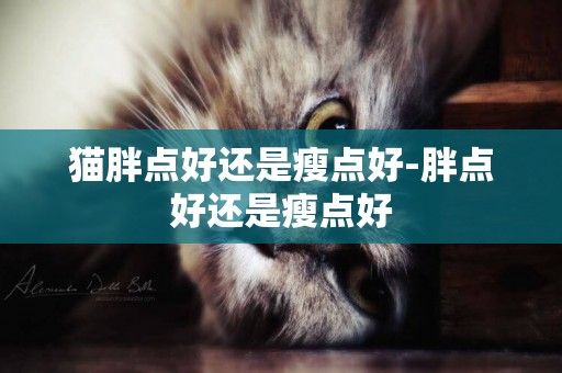 猫胖点好还是瘦点好-胖点好还是瘦点好