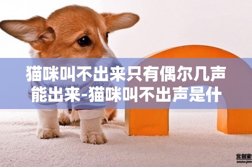 猫咪叫不出来只有偶尔几声能出来-猫咪叫不出声是什么原因？