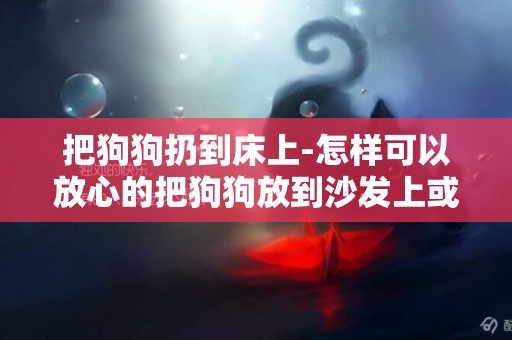 把狗狗扔到床上-怎样可以放心的把狗狗放到沙发上或床上玩呢