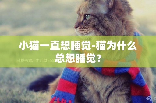 小猫一直想睡觉-猫为什么总想睡觉？