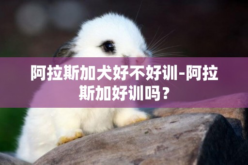 阿拉斯加犬好不好训-阿拉斯加好训吗？