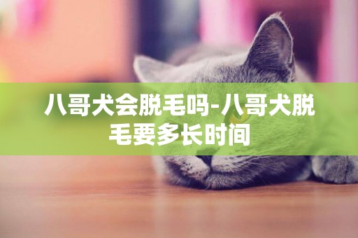 八哥犬会脱毛吗-八哥犬脱毛要多长时间