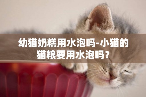 幼猫奶糕用水泡吗-小猫的猫粮要用水泡吗？