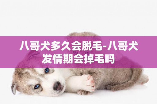 八哥犬多久会脱毛-八哥犬发情期会掉毛吗