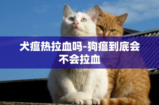 犬瘟热拉血吗-狗瘟到底会不会拉血