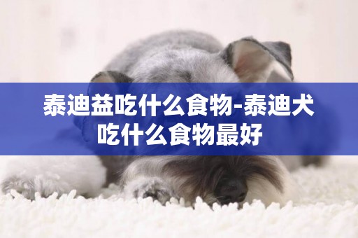 泰迪益吃什么食物-泰迪犬吃什么食物最好