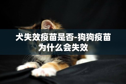 犬失效疫苗是否-狗狗疫苗为什么会失效