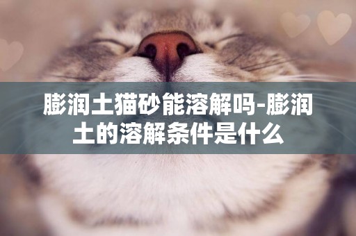 膨润土猫砂能溶解吗-膨润土的溶解条件是什么