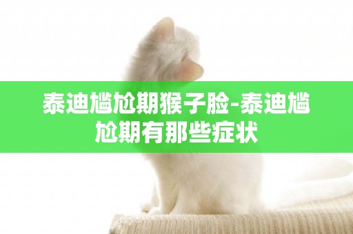 泰迪尴尬期猴子脸-泰迪尴尬期有那些症状