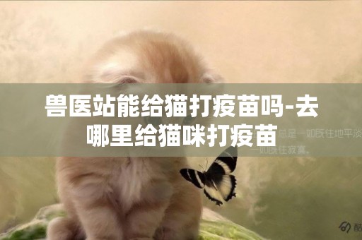 兽医站能给猫打疫苗吗-去哪里给猫咪打疫苗