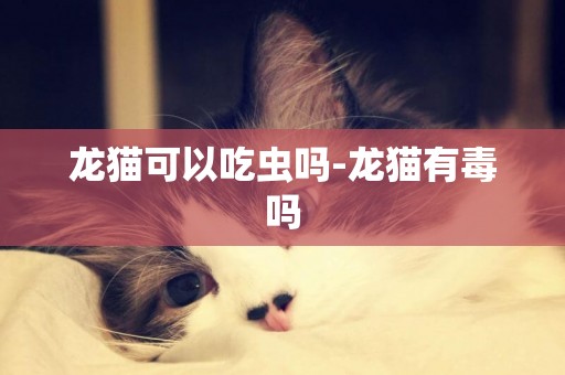 龙猫可以吃虫吗-龙猫有毒吗