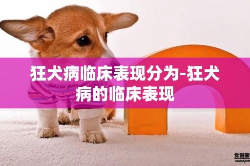 狂犬病临床表现分为-狂犬病的临床表现