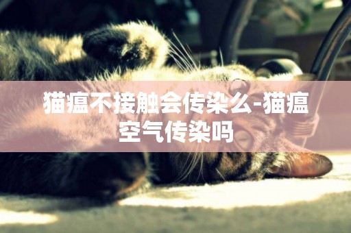 猫瘟不接触会传染么-猫瘟空气传染吗