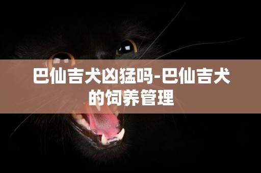 巴仙吉犬凶猛吗-巴仙吉犬的饲养管理