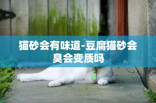 猫砂会有味道-豆腐猫砂会臭会变质吗