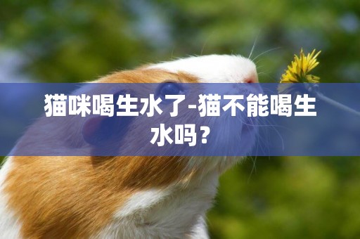 猫咪喝生水了-猫不能喝生水吗？