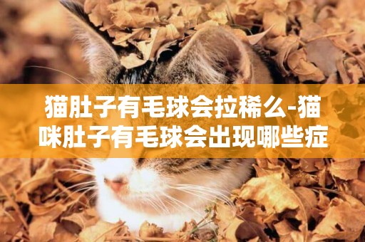 猫肚子有毛球会拉稀么-猫咪肚子有毛球会出现哪些症状，猫咪患有毛球症