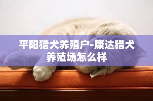 平阳猎犬养殖户-康达猎犬养殖场怎么样