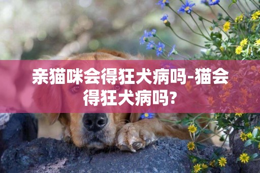 亲猫咪会得狂犬病吗-猫会得狂犬病吗?