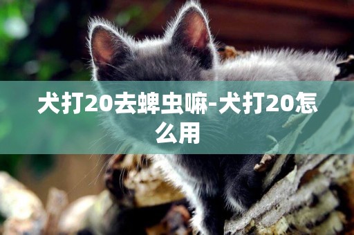 犬打20去蜱虫嘛-犬打20怎么用